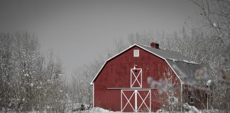 Heat Without Hazard: Modern Alternatives to Traditional Barn Heating Methods