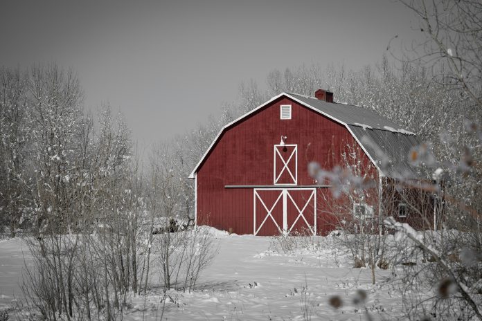 Barn_spons_post.jpg