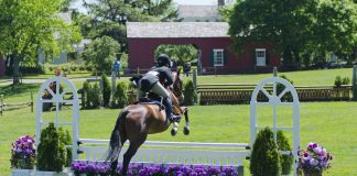 Candidates Announced for USHJA Board of Directors Election