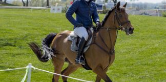 Moving Up in Eventing: How, When, and Why