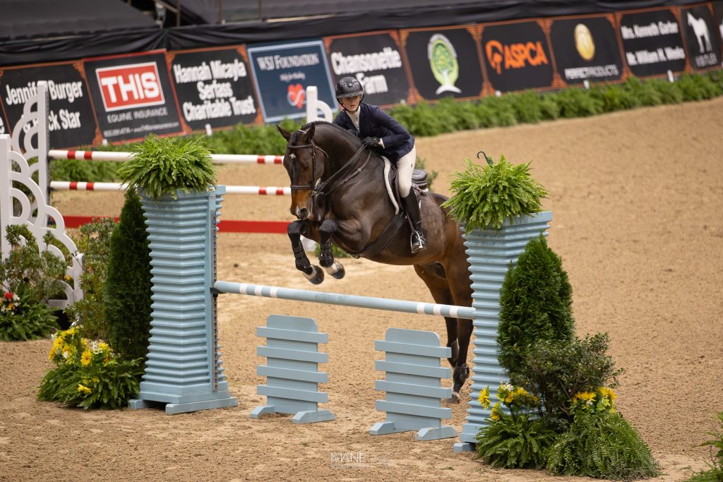 Favorite Edition Z and JJ Torano Secure Top Spot 2025 in the ASPCA
