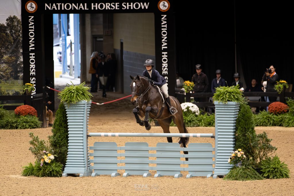 Favorite Edition Z and JJ Torano Secure Top Spot 2025 in the ASPCA
