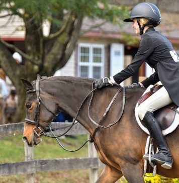 Building a Name Without a Horse: The Importance of Catch Riding