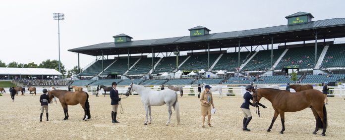 PonyFinalsDay01_05