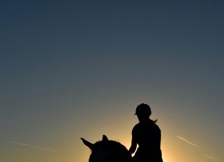 Horse Owners Guide: Key Factors to Consider When Choosing Self Storage Locations in Philadelphia