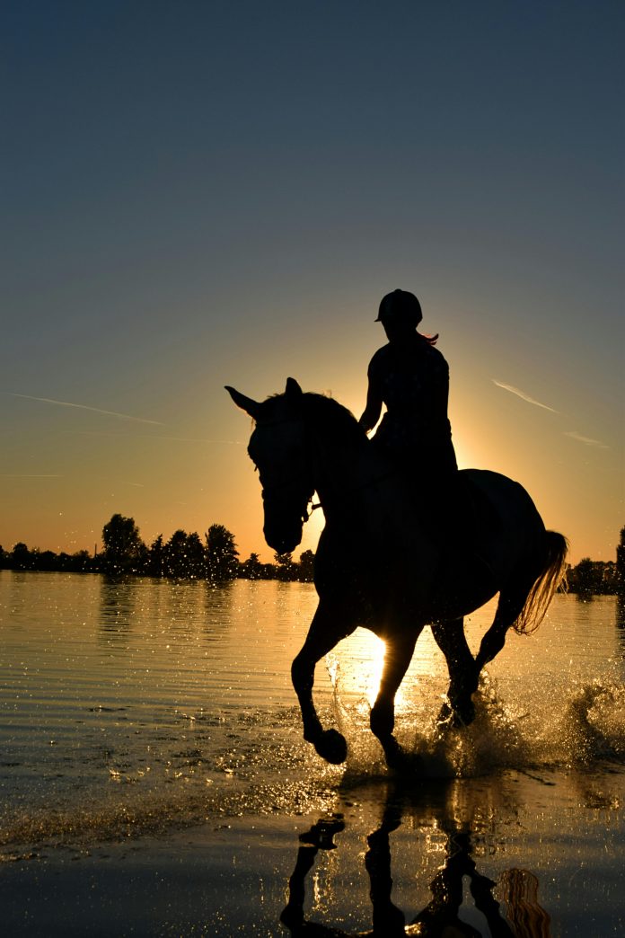 horse_spons_post