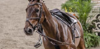 Why Riders Sabotage Themselves by Focusing on Results Instead of Riding the Moment