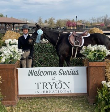 In the Pony World, Money Does Buy Everything