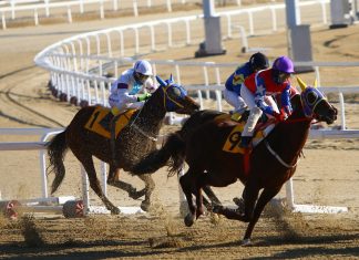 Inside the Top Equestrian Events and Why Each One Is Unique