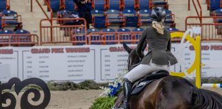 15 Questions to Help You Find the Right Riding Instructor