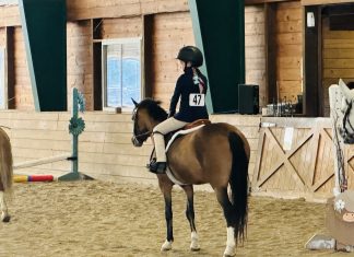 When the Barn Doesn’t Feel Safe Anymore