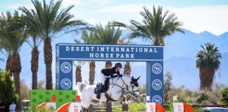 Chatadel PS and Erynn Ballard Cannot be Caught in $62,500 Cabana Coast CSI2* Grand Prix