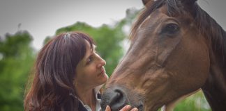 Unbridled Sanctuary Opens the Door to Purpose-Driven Corporate Partnerships at a Pivotal Moment for the Equine World