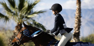 What My “Loveable Weirdo” Taught Me About Riding and Resilience