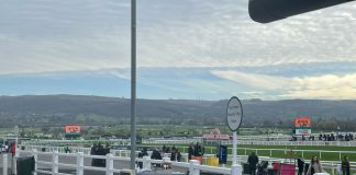 Lossiemouth’s 2026 Champion Hurdle Bid: Can She Join Annie Power, Honeysuckle & Epatante in the History Books?
