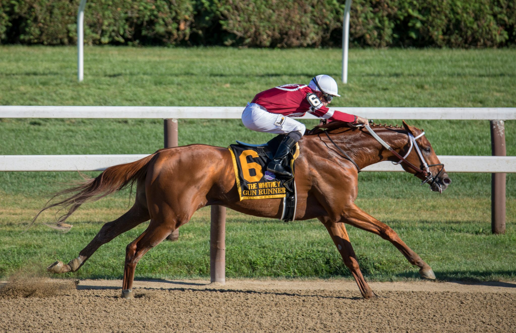 What is the Daily Routine of a Race Horse? - The Plaid Horse Magazine