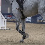 Trainer Tuesday: What is your ultimate test or demonstration of rideability when bringing along a horse for a green rider?