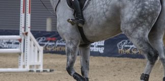 Why the Warm-Up Ring Isn’t a Prediction of Your Round