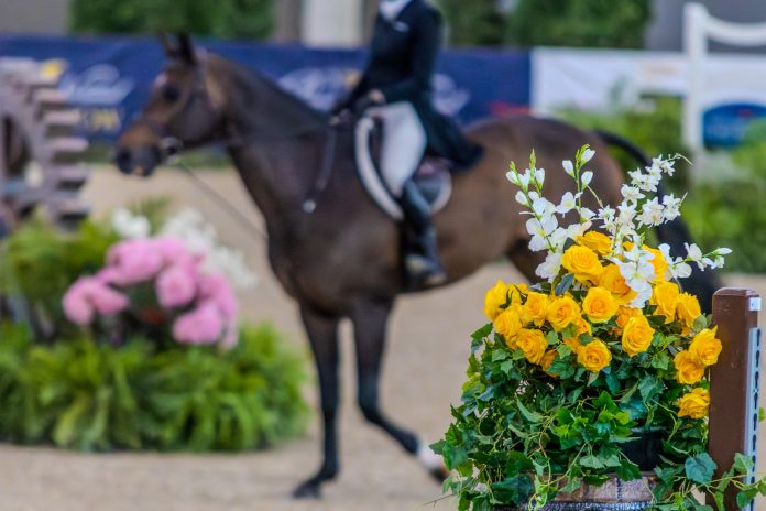 perfect-horses