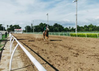 FEI Stabling Extends Its Partnership With US Equestrian
