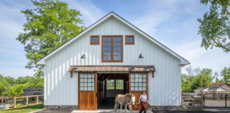 10 Mistakes to Avoid When Designing a Horse Barn