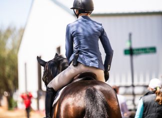 A 52-Week Sport: The Quiet Cost of No Off-Season