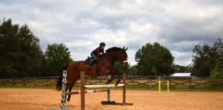 What a Grand Prix Horse Taught Me About Horsemanship