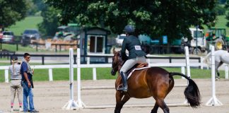 Trainer Tuesday: If a horse struggles to land the lead or typically only lands on one lead, what does that indicate, and can it be improved?