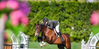 Michael Dennehy and Hulla-Balou Dominate in $40,000 Platinum Performance USHJA International Hunt & Go Derby at Desert Circuit 3