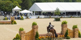 USEF Suspends New Hunter and Hunter/Jumping Seat Judging Applications for 2026