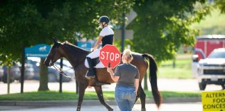 Gossip Isn’t Harmless: How Barn Culture Shapes Nervous Systems