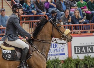 Who Are Equestrian Sports Actually For Anymore?