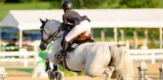 When Something Goes Wrong, Start by Listening to the Horse
