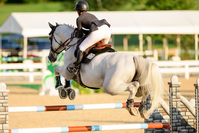 gray-jumper
