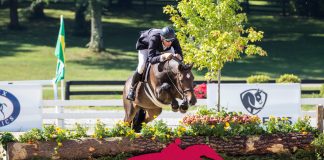 What Makes a Hunter “Easy to Ride” in the Judge’s Eye