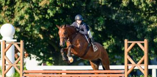 Why USHJA Paused Judge Licensing and What Happens Next