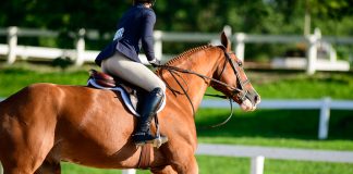 Are Riders Still Being Developed—or Just Moved Up?
