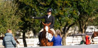 Stewarding as Education: What the Role Is Really Meant to Do