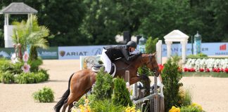 Trusting the Ride: Winning Thoroughbred Hunter Horse of the Year with Gio Lemon