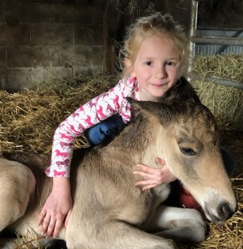 The Long Way Still Works