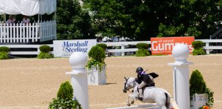 Trainer Tuesday: How do you help a rider better understand stride length, especially if they have difficulty measuring bending lines?