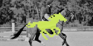 Running a Horse Show in 2026 Looks Different