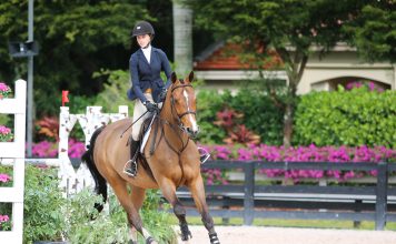 What Do We Want From USEF?