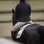 Trainer Tuesday: How would you describe a horse that jumps hollow?