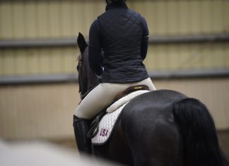 Trainer Tuesday: How would you describe a horse that jumps hollow?