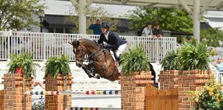 The Plaid Horse Questionnaire with Kyle Gambino