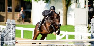 What’s Allowed in the Hunter Ring: A Guide to USEF-Permitted Tack and Equipment