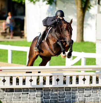 What’s Allowed in the Hunter Ring: A Guide to USEF-Permitted Tack and Equipment