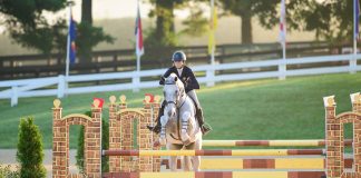 Straightness Is Not Just a Line: Why Crooked Horses Can’t Jump Their Best