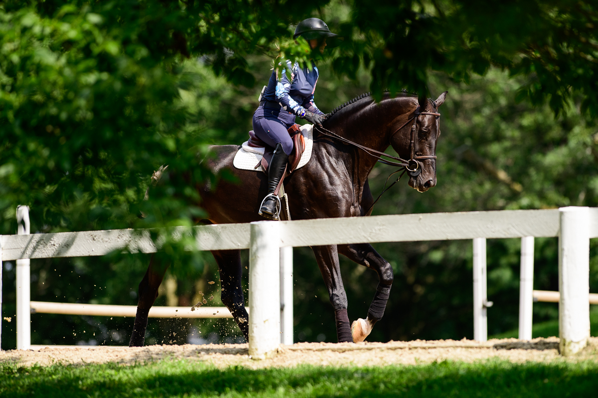 Why Riding Is 75–90% Psychological - The Plaid Horse Magazine